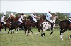 UKPA NC SAT_2859